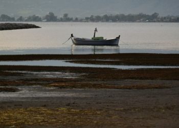 (Φωτ.: ΑΠΕ-ΜΠΕ / Ευάγγελος Μπουγιώτης)