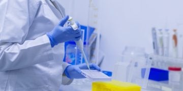 (Φωτ.: pixabay.com / fernandozhiminaicela)