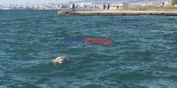 (Φωτ.: Thesstoday.gr)