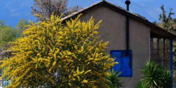 (Φωτ.: ΑΠΕ-ΜΠΕ / Ευάγγελος Μπουγιώτης)