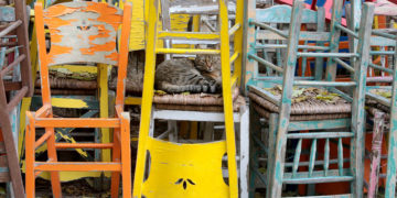 (Φωτ.: ΑΠΕ-ΜΠΕ / Παντελής Σαΐτας)