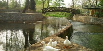 (Φωτ.: kritipoliskaihoria.gr)