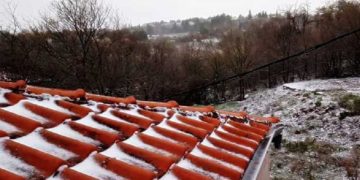 (Φωτ.: kozanimedia.gr)