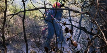 Πυροσβέστης επιχειρεί στην κατάσβεση της πυρκαγιάς στην περιοχή των Γερανείων, κοντά στον Σχίνο Λουτρακίου (φωτ.: ΑΠΕ-ΜΠΕ /Βασίλης Ψωμάς)