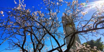 (Φωτ.: ΑΠΕ-ΜΠΕ / Ευάγγελος Μπουγιώτης)