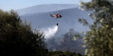 (Φωτ. αρχείου: Περιφέρεια Αττικής)