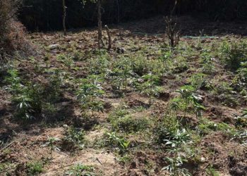 (Φωτ.: Γενική Περιφερειακή Αστυνομική Διεύθυνση Κεντρικής Μακεδονίας)