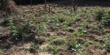 (Φωτ.: Γενική Περιφερειακή Αστυνομική Διεύθυνση Κεντρικής Μακεδονίας)