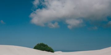(Φωτ.: Pexels)
