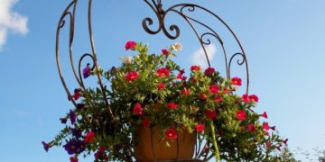 (Φωτ.: pixabay.com / menita)