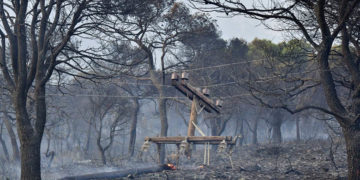 (Φωτ.: ΑΠΕ-ΜΠΕ / Βασίλης Ψωμάς)