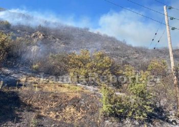 (Φωτ.: lamiareport.gr)
