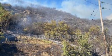 (Φωτ.: lamiareport.gr)