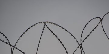 (Φωτ. αρχείου: Pexels)