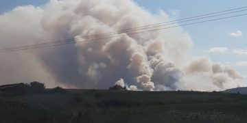 (Φωτ.: e-evros.gr)