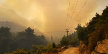 (Φωτ.: Samos24.gr)