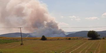 (Φωτ.: e-evros.gr)