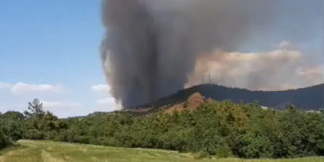 (Φωτ.: e-evros.gr)