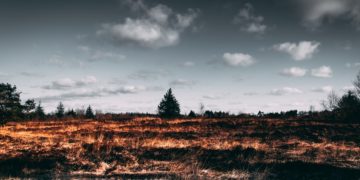 (Φωτ. αρχείου: Pexels)