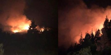 (Φωτ.: halkidikifocus.gr)