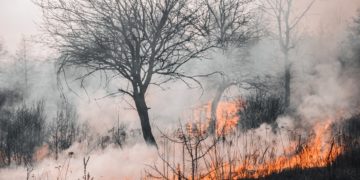 (Φωτ. αρχείου: Pexels)