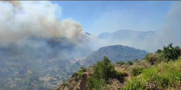 (Φωτ.: Facebook / Παναγής Καρλής)