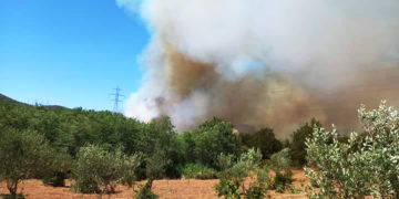 (Φωτ.: Facebook / Liakos Karras)