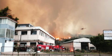 Η φωτιά στις Αφίδνες νωρίς το πρωί της Παρασκευής (φωτ.: Facebook / Δημήτρης Γκούφας)