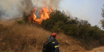 Πυροσβέστης επιχειρεί στην κατάσβεση της πυρκαγιάς στο χωριό Κοσκινάς, στην Αρχαία Ολυμπία (φωτ.: ΑΠΕ-ΜΠΕ/Ορέστης Παναγιώτου)