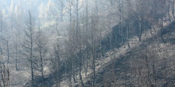 (Φωτ. αρχείου: twitter.com/pyrosvestiki)