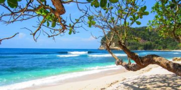 (Φωτ.: pixabay.com/aknafi)