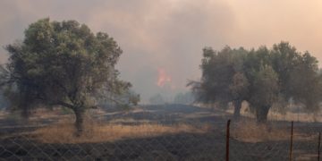 Εικόνα από την περιοχή Καλαμώνα στη Ρόδο (φωτ.: 
ΑΠΕ-ΜΠΕ /Λευτέρης Δαμιανίδης)