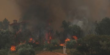 Φλόγες από την πυρκαγιά που καίει μέσα στην κατοικημένη περιοχή στις Αφίδνες (φωτ.: ΑΠΕ-ΜΠΕ/ Αλέξανδρος Μπελτές)