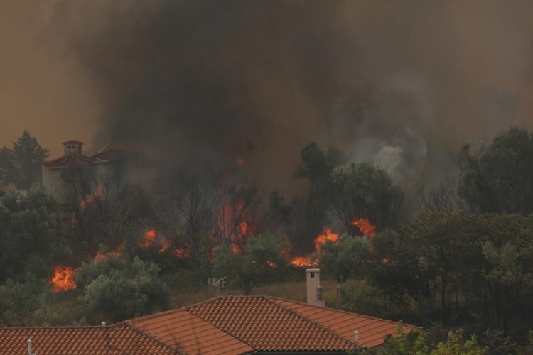 Φλόγες από την πυρκαγιά που καίει μέσα στην κατοικημένη περιοχή στις Αφίδνες (φωτ.: ΑΠΕ-ΜΠΕ/ Αλέξανδρος Μπελτές)