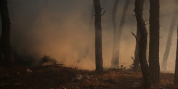 Πυκνός καπνός ανάμεσα σε δέντρα κατά τη διάρκεια της πυρκαγιάς στην περιοχή των Θρακομακεδόνων, Σάββατο 07 Αυγούστου 2021 (φωτ.: ΑΠΕ-ΜΠΕ/ Αλέξανδρος Μπελτές)