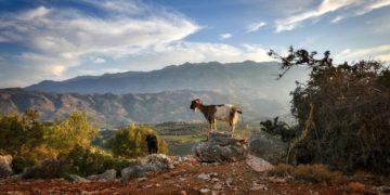 Εικόνα από την αγαπημένη Κρήτη (φωτ.: pixabay.com/fietzfotos)