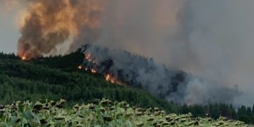 Φωτιά καίει δασική έκταση στο χωριό Ζωοδόχος Πηγή στην Εύβοια, Παρασκευή 6 Αυγούστου 2021 (φωτ.: ΑΠΕ-ΜΠΕ/ Παναγιώτης Κουρός)