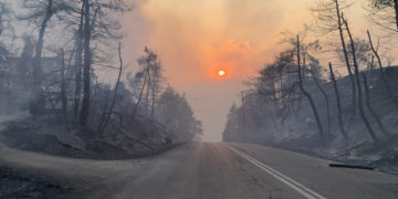 Καμμένο τοπίο στην περιοχή Κήρινθο κοντά στη Λίμνη Ευβοίας, Παρασκευή  6 Αυγούστου 2021 (φωτ.: ΑΠΕ-ΜΠΕ/ Παναγιώτης Κουρός)