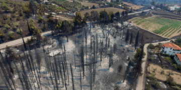 Εικόνα από τις Ροβιές στην Εύβοια, 5 Αυγούστου 2021 (φωτ.:  EPA/ Panagiotis Kouros)