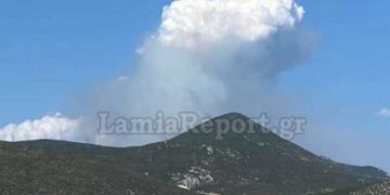 (Φωτ.: lamiareport.gr)