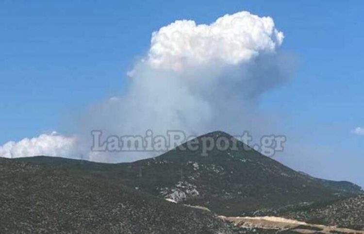 (Φωτ.: lamiareport.gr)