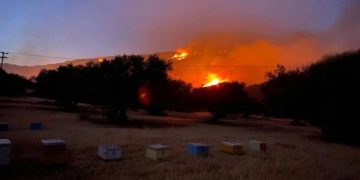 (Φωτ.: newsbreak.gr)