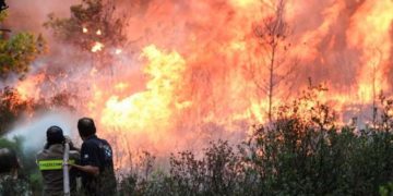 (Φωτ. αρχείου: ΑΠΕ-ΜΠΕ)