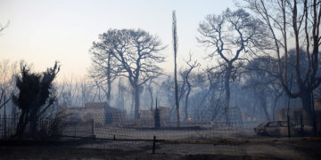 (Φωτ.: ΑΠΕ-ΜΠΕ / Γιώτα Λοτσάρη)