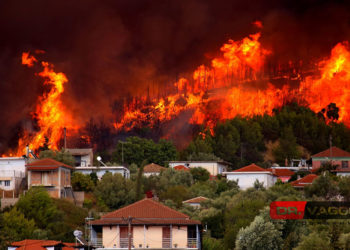 Το πύρινο μέτωπο στο Πελόπιο Εύβοιας την Τετάρτη (φωτ.: Facebook / Vaggelis Dimitropoulos)