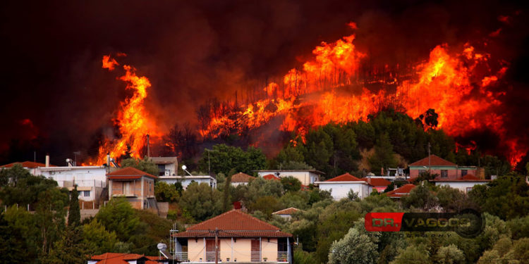 Το πύρινο μέτωπο στο Πελόπιο Εύβοιας την Τετάρτη (φωτ.: Facebook / Vaggelis Dimitropoulos)