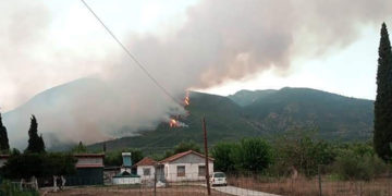 (Φωτ.: Facebook / Irida Zorba)