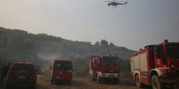 (Φωτ. αρχείου: ΑΠΕ-ΜΠΕ / Ορέστης Παναγιώτου)