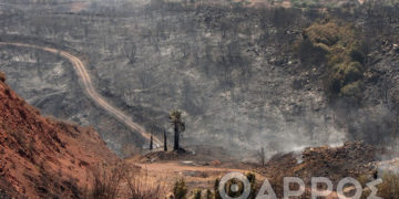 Καμένη γη μετά από πέρασμα της φωτιάς από Βασιλίτσι-Διαβολίτσι (πηγή: εφ. Θάρρος)