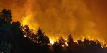 (Φωτ. αρχείου: ΑΠΕ-ΜΠΕ)